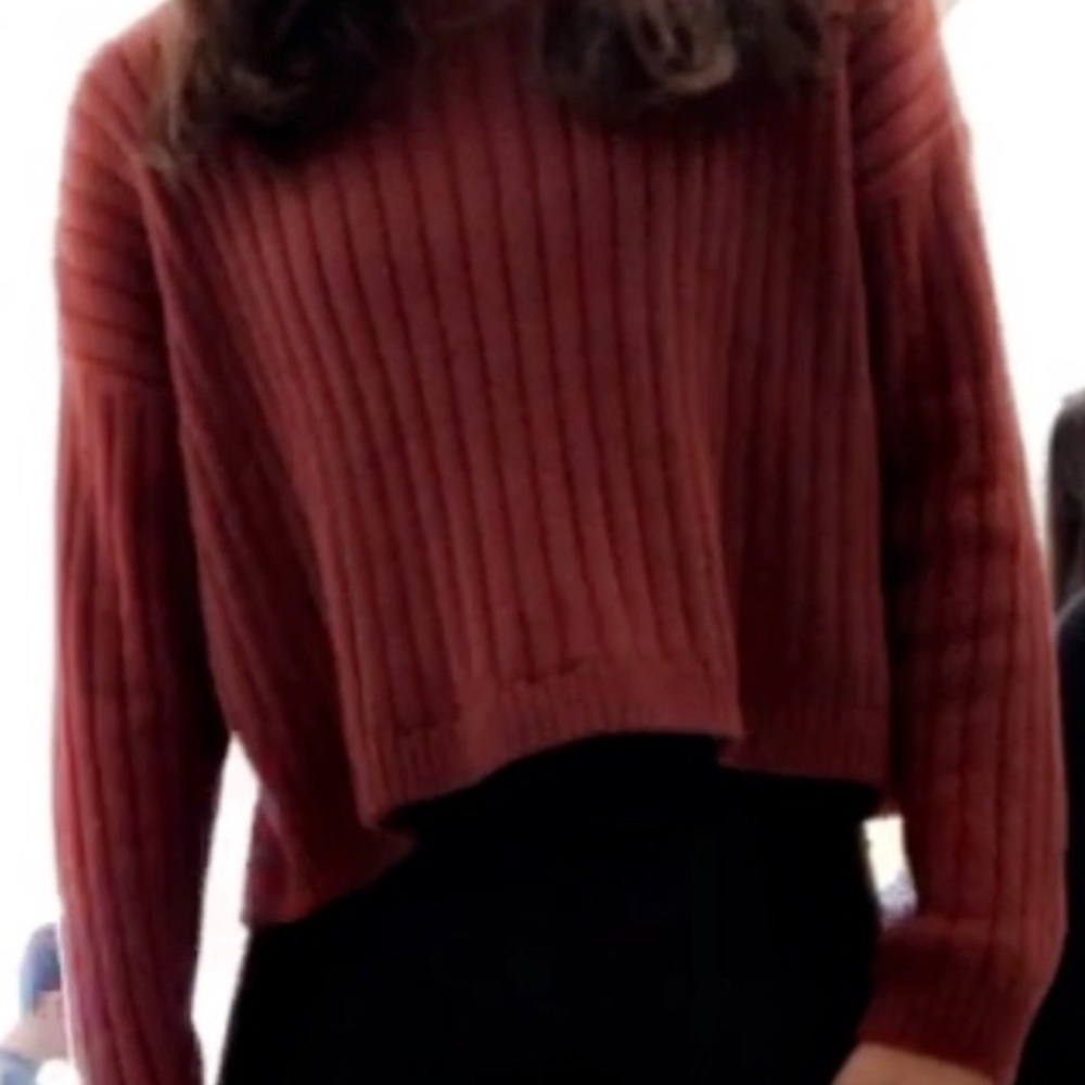 burnt orange/burgundy cropped sweater